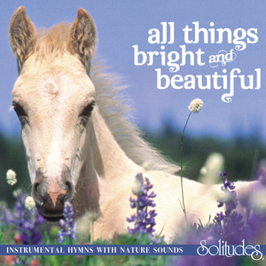 _B影院最大库存永久免费
